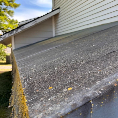 How often should homeowners schedule professional roof washing