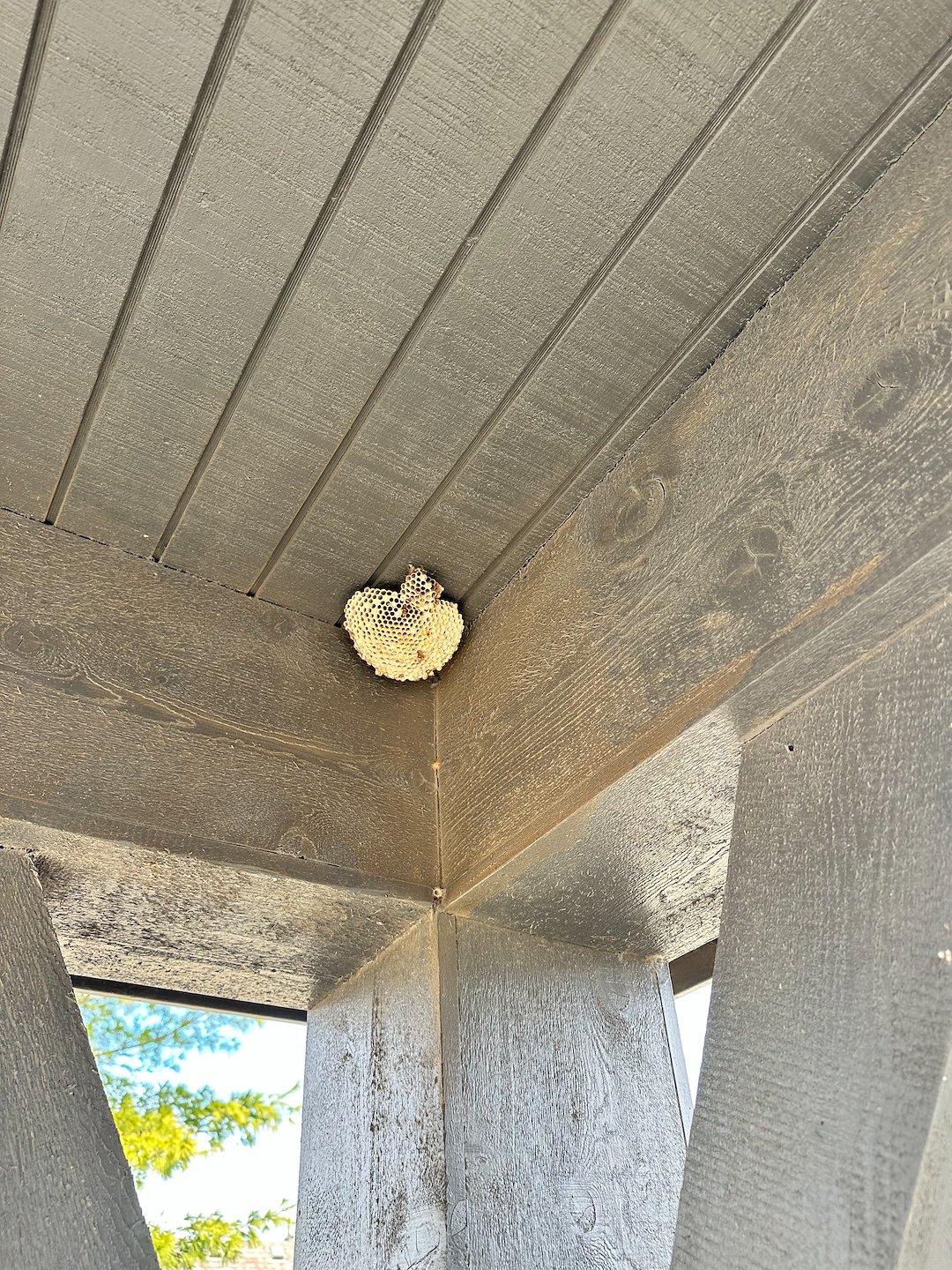 HOA cleaning in Jenks, OK